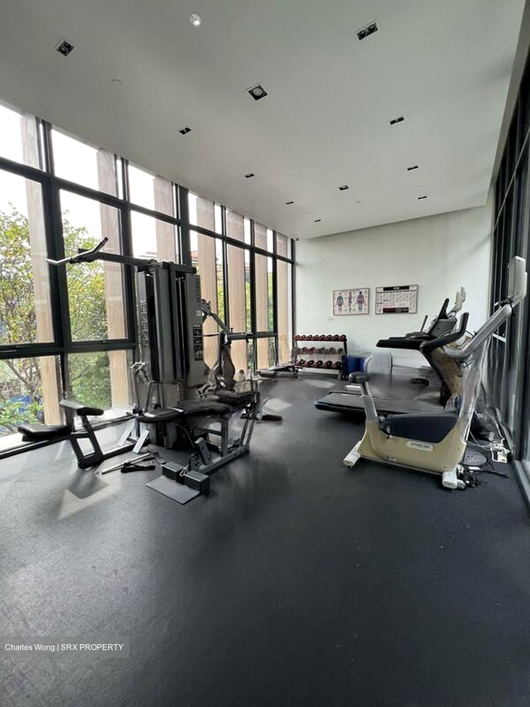 Robin Residences (D10), Condominium #439098541
